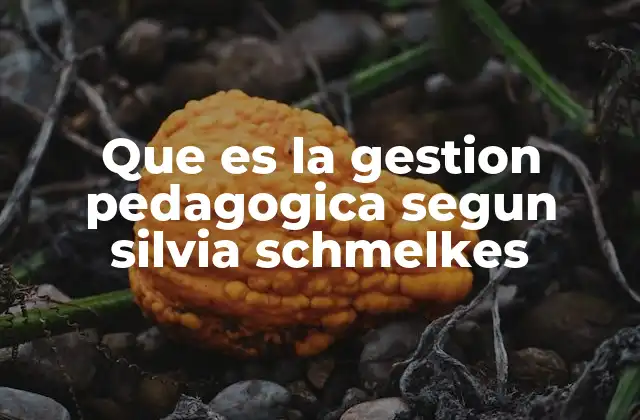 Que es la Gestion Pedagogica Segun Silvia Schmelkes