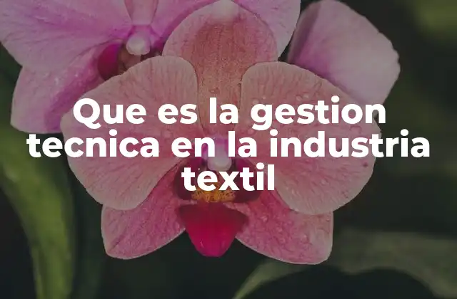 Que es la Gestion Tecnica en la Industria Textil