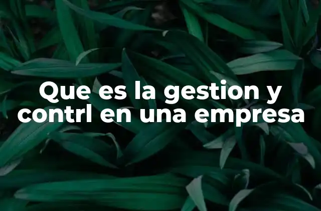 Que es la Gestion y Contrl en una Empresa 2 La importancia de la gestión y el control en el crecimiento empresarial
