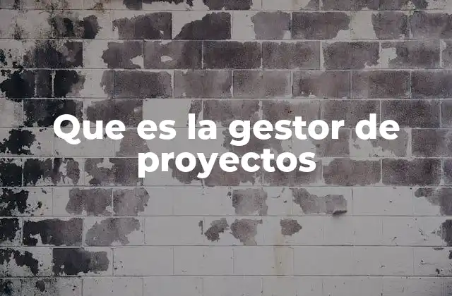 Que es la Gestor de Proyectos