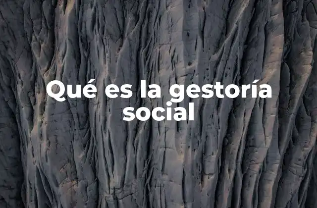 Qué es la Gestoría Social