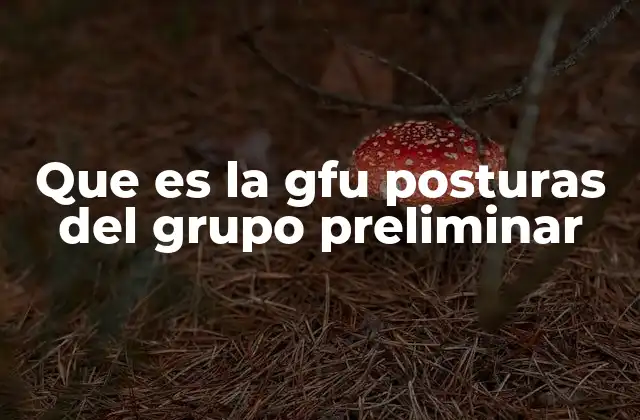 El papel del Grupo Preliminar en la selección pública