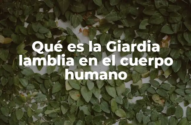 Qué es la Giardia Lamblia en el Cuerpo Humano