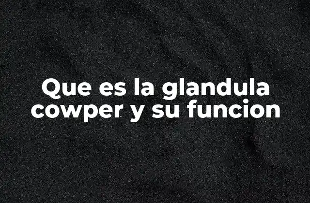 Que es la Glandula Cowper y Su Funcion