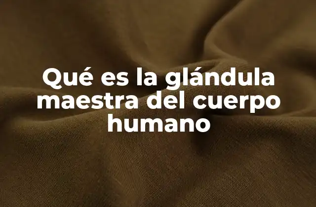 Qué es la Glándula Maestra Del Cuerpo Humano