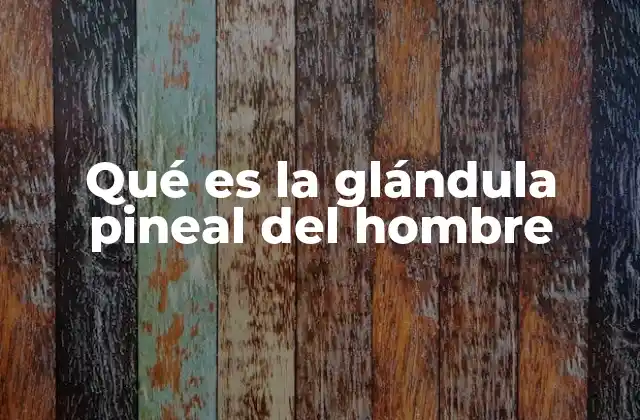 Qué es la Glándula Pineal Del Hombre