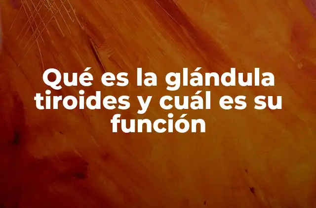 La glándula tiroides y su conexión con el sistema endocrino