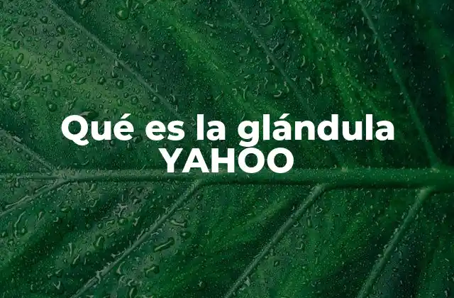 Qué es la Glándula Yahoo
