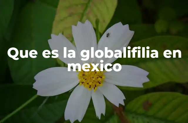 Que es la Globalifilia en Mexico