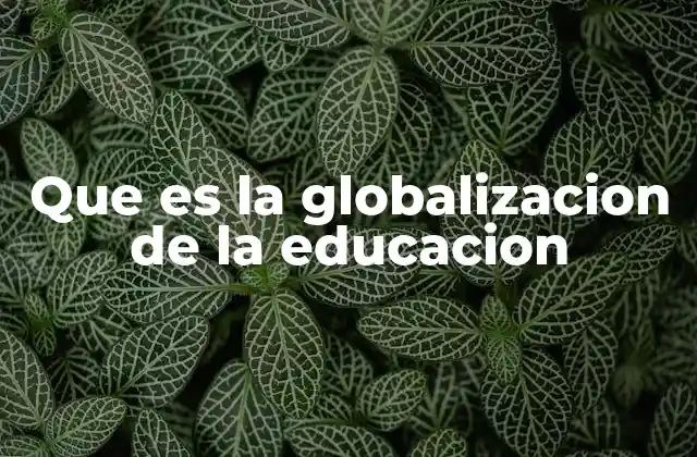 Que es la Globalizacion de la Educacion 2 La convergencia de sistemas educativos en el mundo contemporáneo
