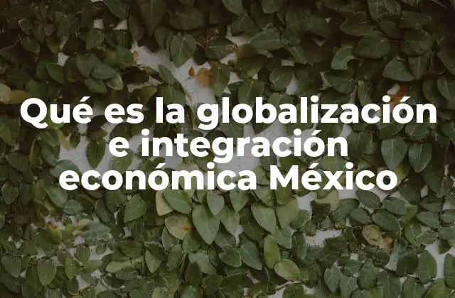Qué es la Globalización e Integración Económica México