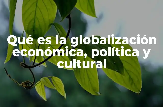 Qué es la Globalización Económica, Política y Cultural