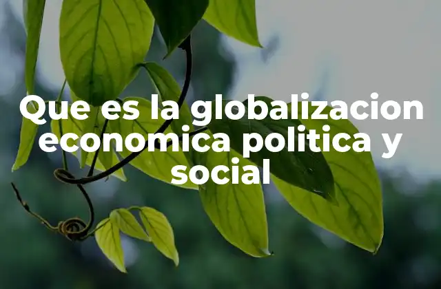 Que es la Globalizacion Economica Politica y Social