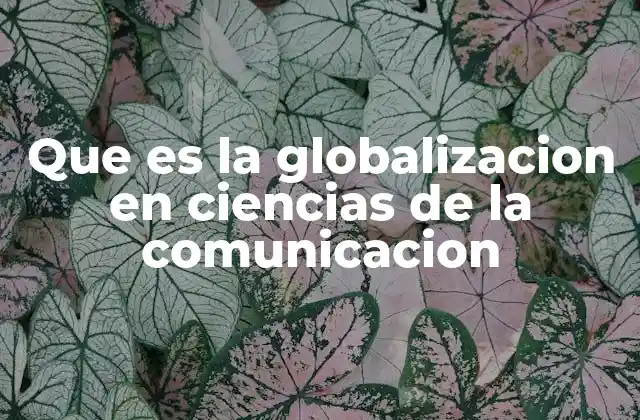 Que es la Globalizacion en Ciencias de la Comunicacion