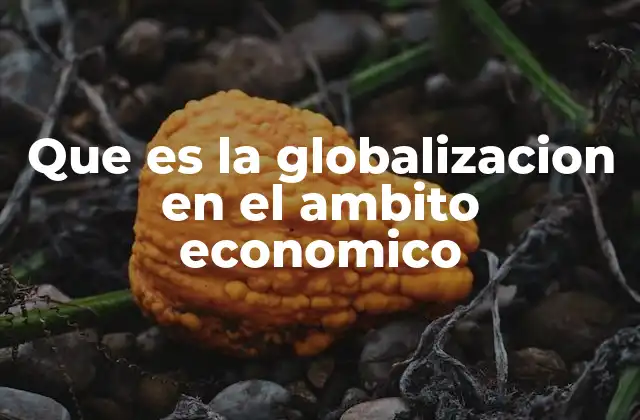 Que es la Globalizacion en el Ambito Economico