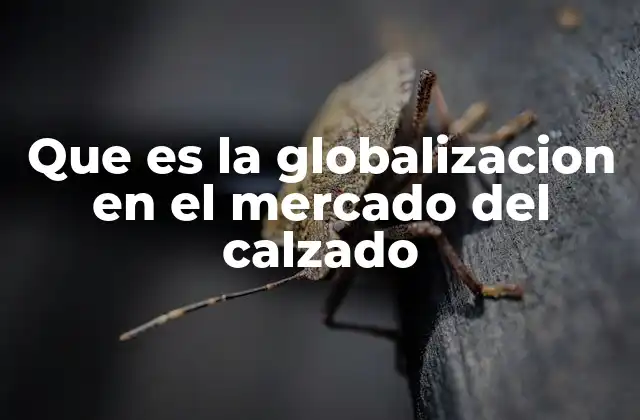Que es la Globalizacion en el Mercado Del Calzado 2 La internacionalización de la industria del calzado