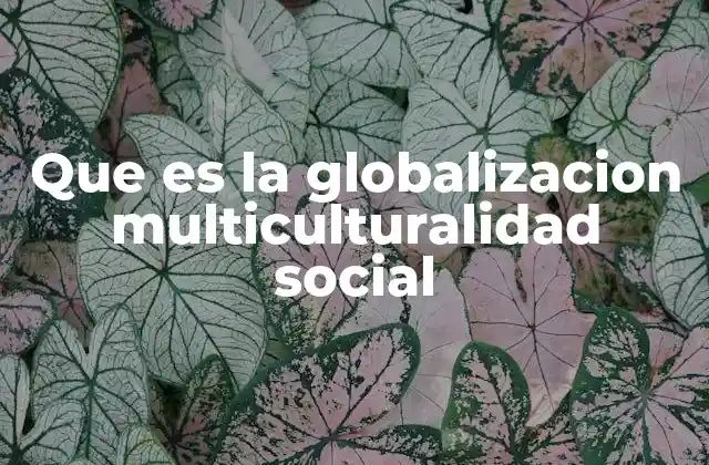 Que es la Globalizacion Multiculturalidad Social 2 El impacto de la interculturalidad en la sociedad moderna