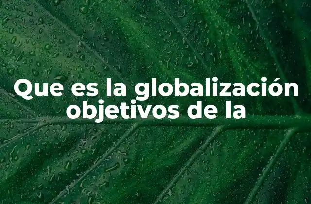 Que es la Globalización Objetivos de la 2 El papel de la globalización en la integración internacional