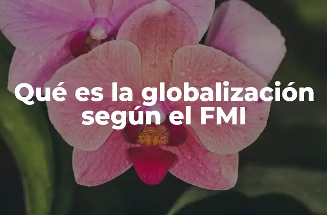 Qué es la Globalización según el Fmi