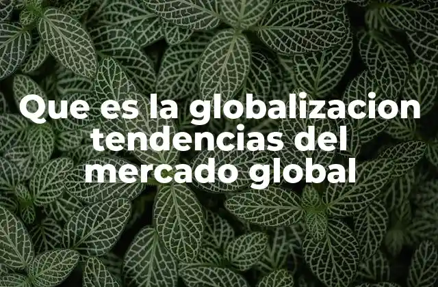 Que es la Globalizacion Tendencias Del Mercado Global