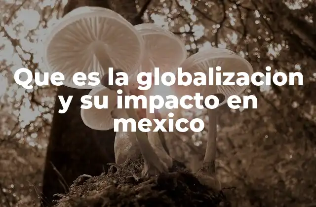 Que es la Globalizacion y Su Impacto en Mexico