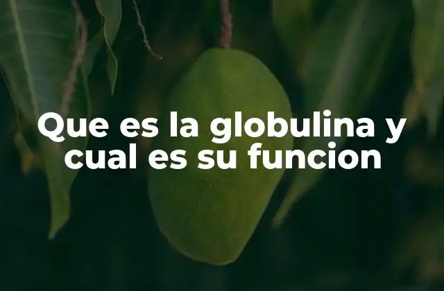 Que es la Globulina y Cual es Su Funcion