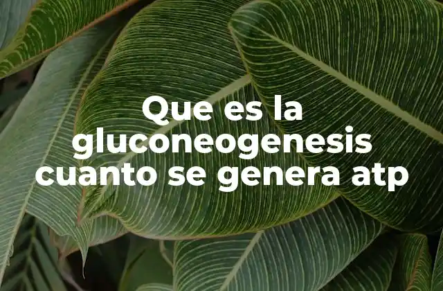 Que es la Gluconeogenesis Cuanto Se Genera Atp