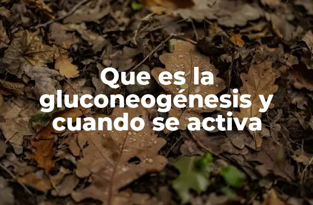 Que es la Gluconeogénesis y Cuando Se Activa