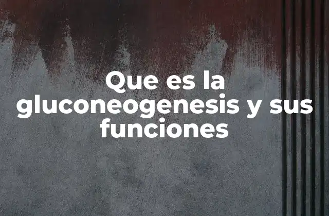 Que es la Gluconeogenesis y Sus Funciones