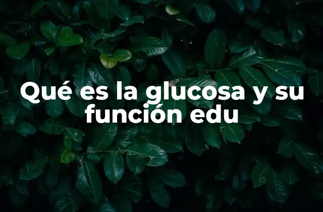 Qué es la Glucosa y Su Función Edu