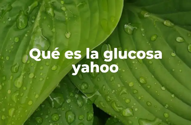 Qué es la Glucosa Yahoo