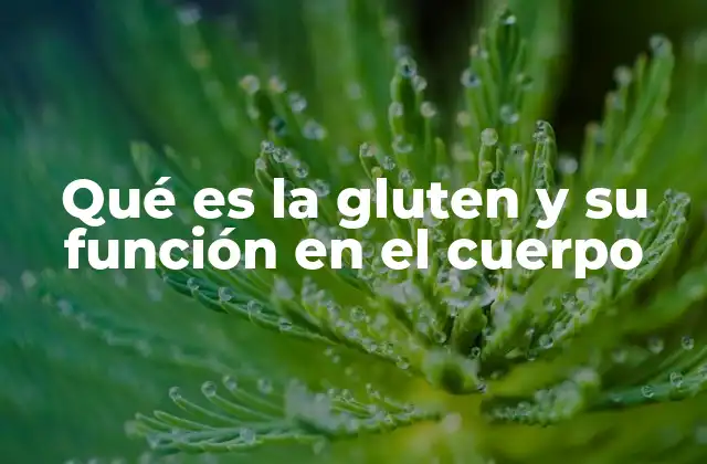 La presencia de gluten en la alimentación moderna