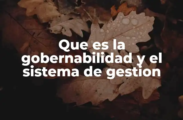 Que es la Gobernabilidad y el Sistema de Gestion