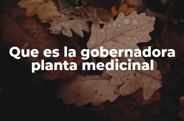 Que es la Gobernadora Planta Medicinal