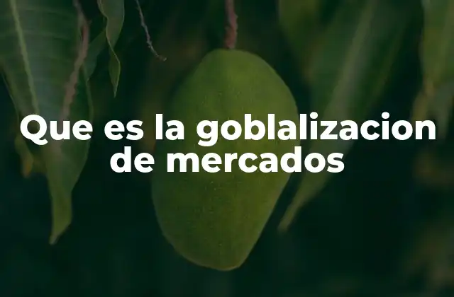 Que es la Goblalizacion de Mercados