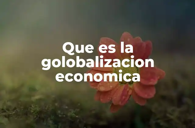 Que es la Golobalizacion Economica