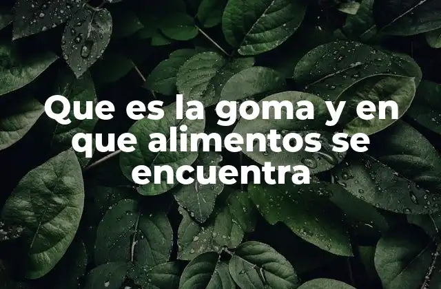 Que es la Goma y en que Alimentos Se Encuentra