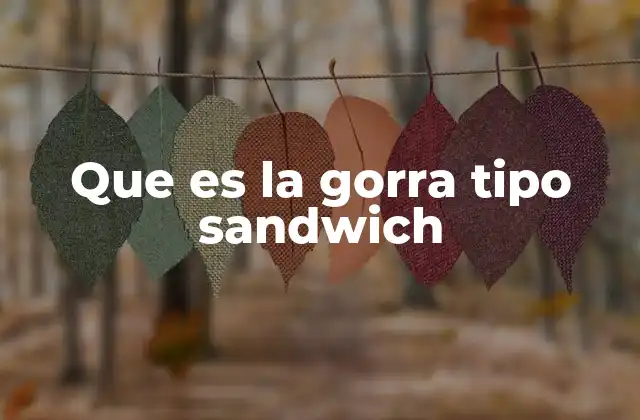 Que es la Gorra Tipo Sandwich