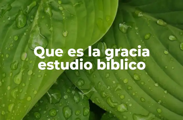 Que es la Gracia Estudio Biblico 2 La gracia como base de la relación con Dios