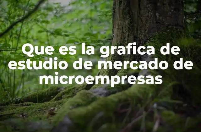 Que es la Grafica de Estudio de Mercado de Microempresas