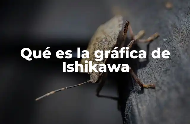 Qué es la Gráfica de Ishikawa