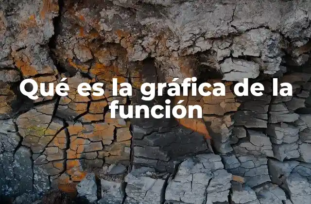 Qué es la Gráfica de la Función