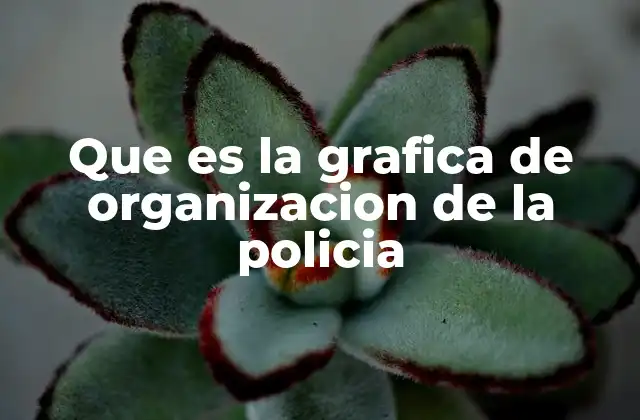 Que es la Grafica de Organizacion de la Policia