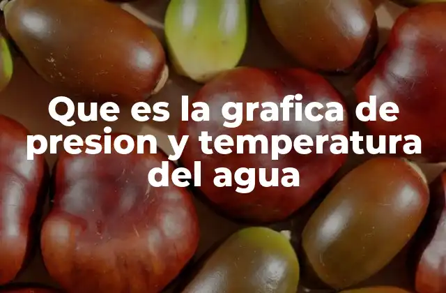Que es la Grafica de Presion y Temperatura Del Agua