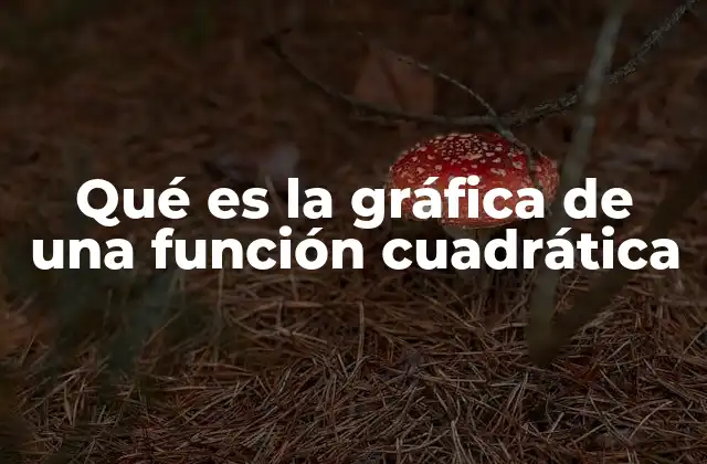 Qué es la Gráfica de una Función Cuadrática