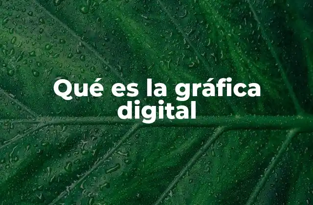 Qué es la Gráfica Digital