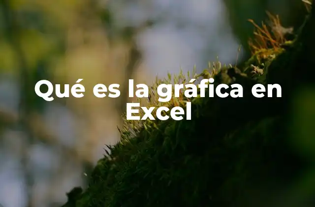 Qué es la Gráfica en Excel