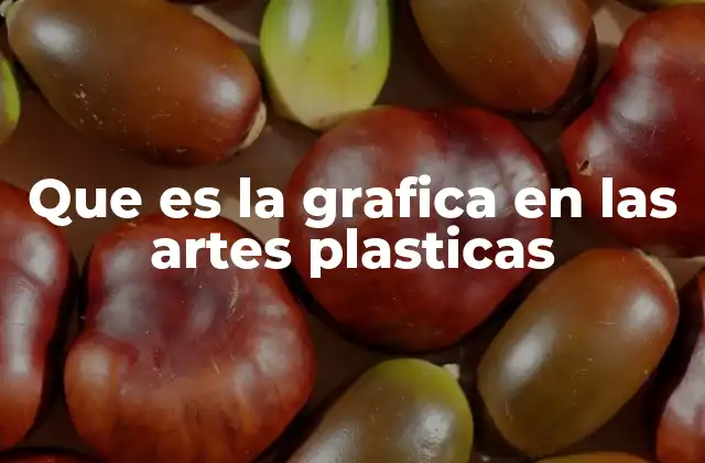 Que es la Grafica en las Artes Plasticas