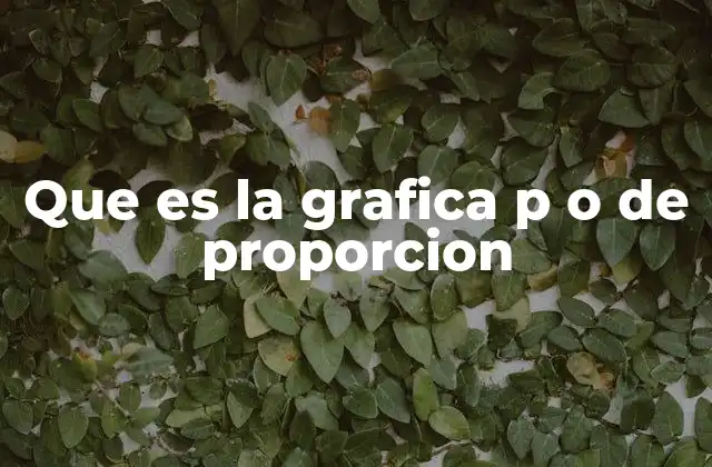 Que es la Grafica P o de Proporcion