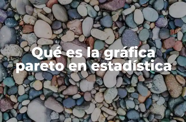 Qué es la Gráfica Pareto en Estadística